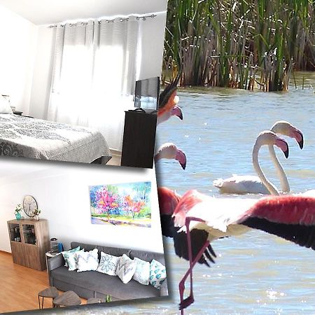 Duplex En Delta De L'Ebre Con Dos Terrazas Y Balcon Leilighet Deltebre Eksteriør bilde