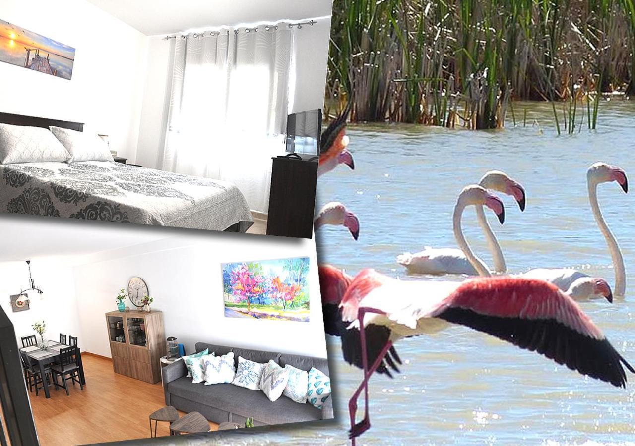 Duplex En Delta De L'Ebre Con Dos Terrazas Y Balcon Leilighet Deltebre Eksteriør bilde